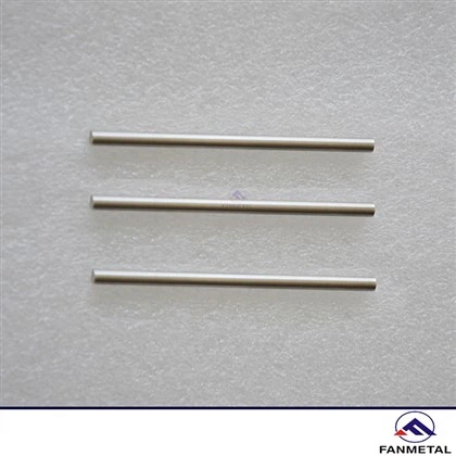 Platinwm Pt Rod electrod